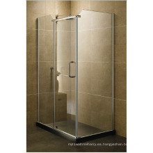 Puerta de ducha de alta calidad por buen precio Wtm-03008